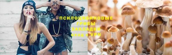 MESCALINE Верхний Тагил